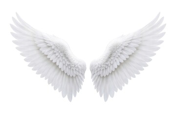 Obraz premium Elegant white angel wings illustration.