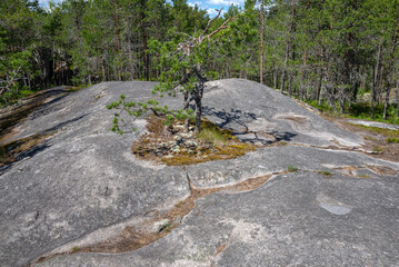 Volcanic rock in the forest landscape, Koyonsaari Island. Republic of Karelia, Russia © Anna