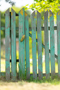 Part of the old green wooden fence.