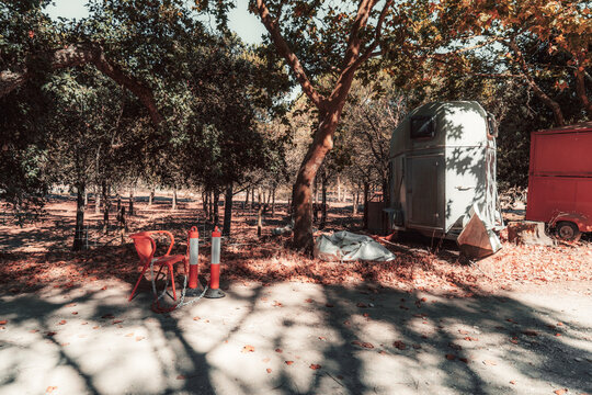 Quiet ranch storage area with two parked horse transport trailers beneath mature trees, surrounded by fencing, fallen leaves, a red chair and dappled afternoon shade