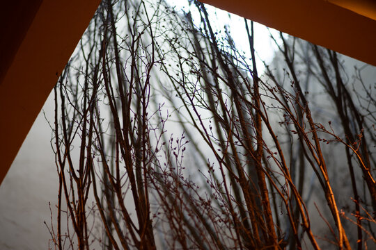 Decorative leafless tree branches rise through an interior lightwell, framed by warm angular architecture and soft natural light to create an organic sculptural feature