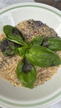 Creamy orzo pasta with sun-dried tomatoes, spinach, caramelized onion and fresh basil. Homemade Italian-style dish served in a bowl, close-up food photography.