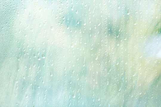 background of rain drops on glass, abstract summer grass and flowers in wet nature freshness