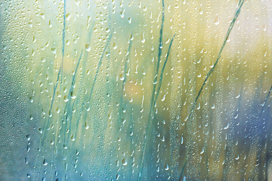 background of rain drops on glass, abstract summer grass and flowers in wet nature freshness
