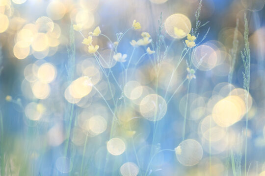 Multicolored bokeh against a natural background, field grass in nature, delicate soft color