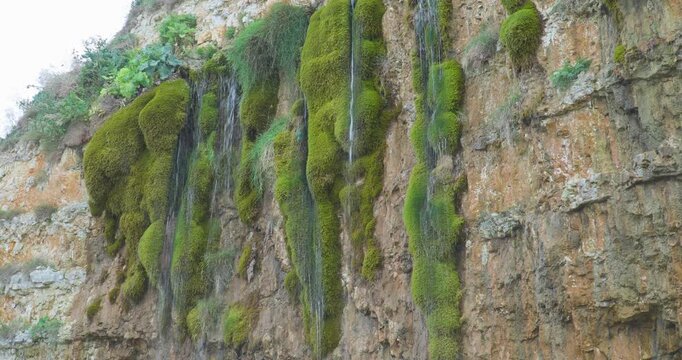Le Rocher Qui Pleure (the "weeping rock") in Normandy, France.
