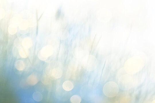 summer nature golden bokeh delicate soft color abstract background