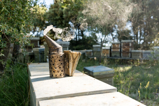 Smoking bee smoker beside hive in rural apiary