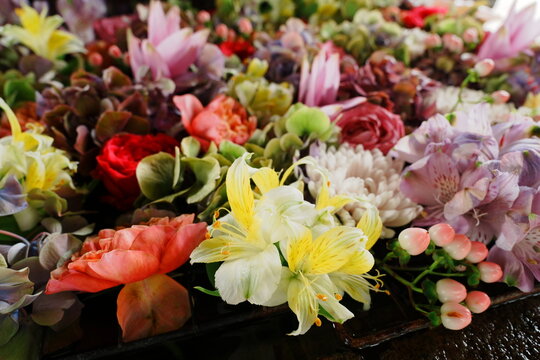 Beautiful Hanachozu Decorative Flower Basin at Japanese Shrine Water Ablution Pavilion - 日本 神社の手水舎に浮かぶ華やかな花手水 日本の伝統文化と四季の彩りを映す水鉢