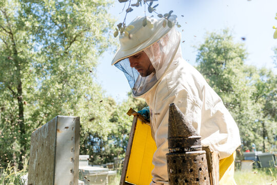Beekeeper inspect honeybee hive with smoker outdoors