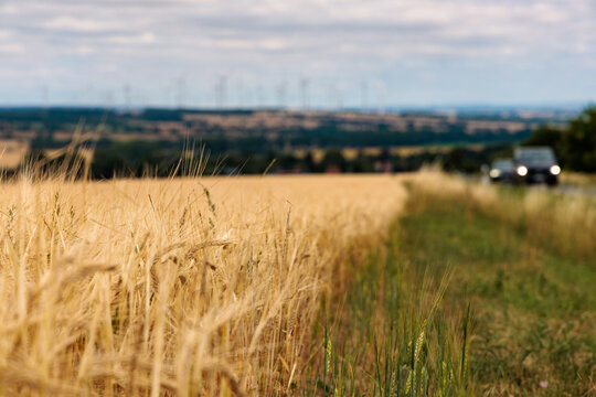 Golden wheat field close up with country road, blurred car and wind turbines in background, rural scenery and renewable energy concept