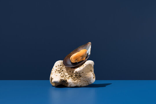 Open mussel on coral stone against blue background