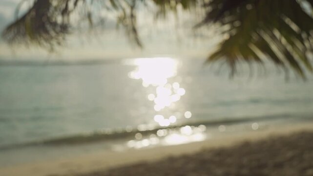 Tropical Coastline View Through Palm Fronds with Blurry Ocean Waves