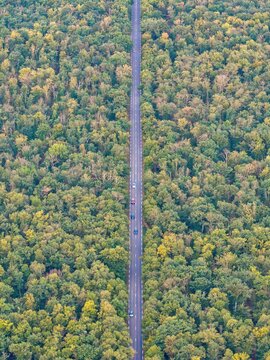 Aerial view of a straight road cutting through a dense green forest with cars driving along the asphalt in Bantzenheim, Grand Est, France.