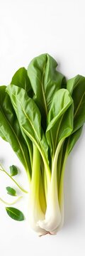 Fresh bok choy arranged in a studio shot on a white background, with vibrant green leaves and delicate stems, culinary, fresh vegetables