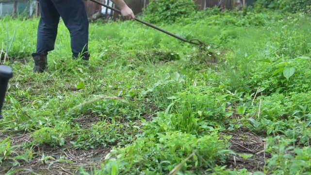 刈った草を集める男性