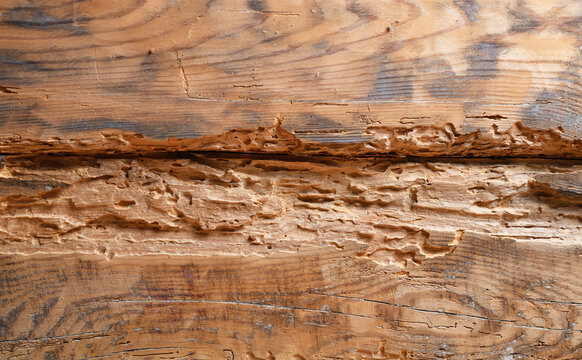 A close-up of old, rough, weathered wood grain. Deep cracks and jagged edges give it a rustic, vintage look.