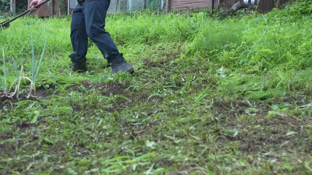 刈った草を集める男性