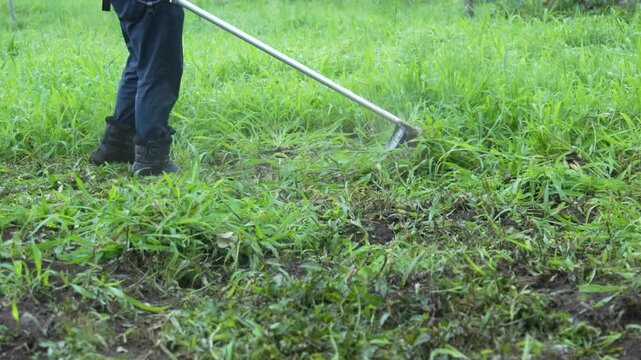 草刈り機で草を刈る男性
