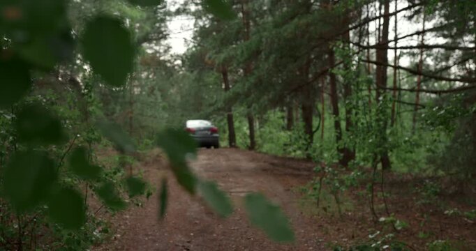 Man walking along dirt path in green pine forest with car on background
