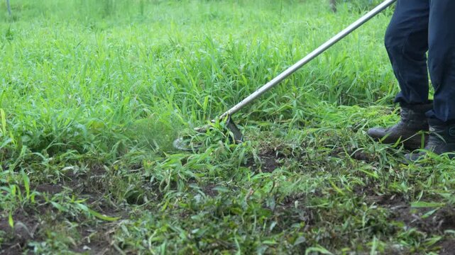 草刈り機で草を刈る男性