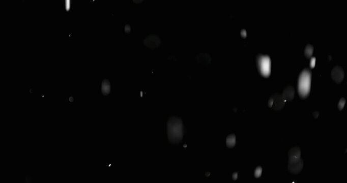 falling snow flakes in black background