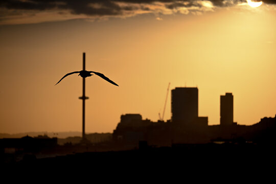 Dramatic Sunset Above Coastal Skyline
