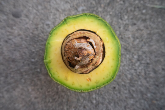 Top-down close-up view of a freshly cut ripe green avocado displaying its creamy yellow flesh and large brown seed pit resting on concrete