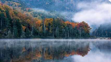 Fototapeta premium Foggy autumn morning at Saco Lake on Crawford Notch Road - New Hampshire