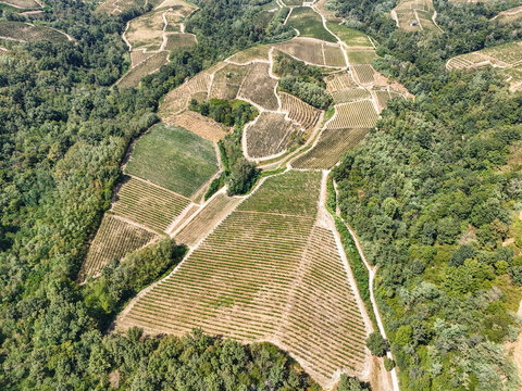 Aerial view of the terraced vineyards of Gattinara, surrounded by lush green forests and rolling hills in Gattinara, Piedmont, Italy.