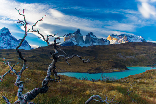 Mountain landscape environment, Torres del Paine National Park, Patagonia, Chile.