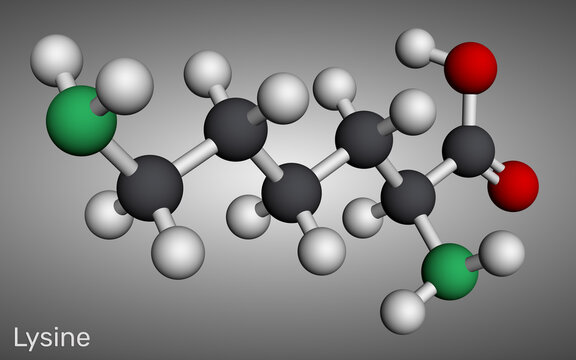 Lysine molecule. Essential amino acid for protein synthesis, growth, and immune support. 3D render