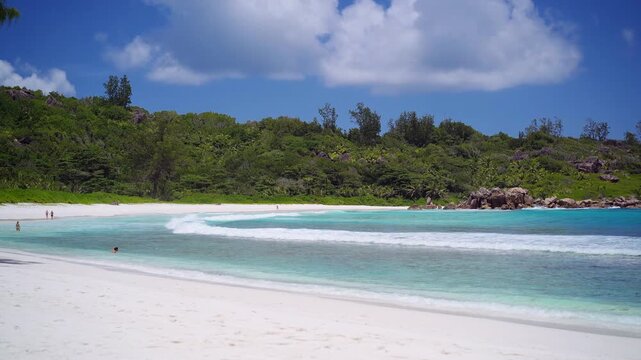 Palm tree branch over tropical sandy beach and sparkling ocean water