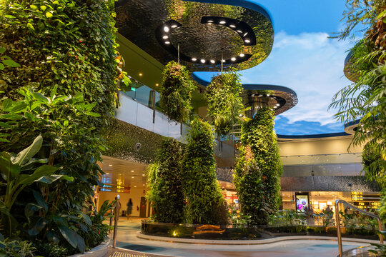 Dreamscape, an immersive indoor garden at Singapore Changi Airport Terminal 2.