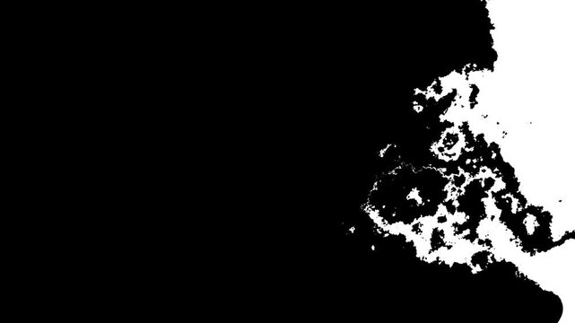 Spraying ink on a white background 4k. Beautiful ink flowing turbulent on white background. Ink transition with turbulent moving abstract painting .