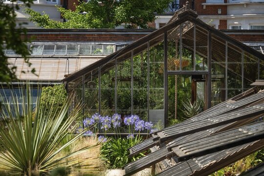 Historic greenhouses, Chelsea Physic Garden, historic botanical garden, oldest botanical garden in London, founded in 1673 by the Worshipful Society of Apothecaries, Chelsea, England, Great Britain