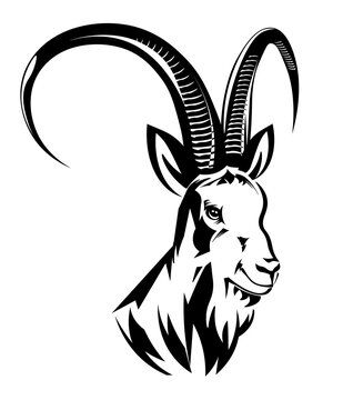 Chinese New Year 2027. Goat head design.