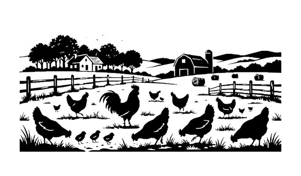 Chickens in pasture silhouette vector with farmhouse rural landscape and domestic poultry isolated on white background