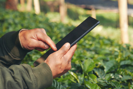 Smart farmer holding smartphone in eco green farm sustainable qu
