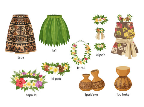Traditional Hawaiian hula dance costume elements and musical instruments illustration.