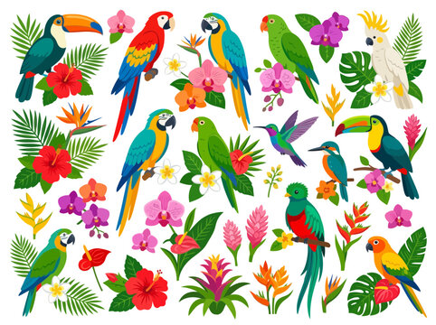A vibrant collection of tropical birds and exotic flowers.