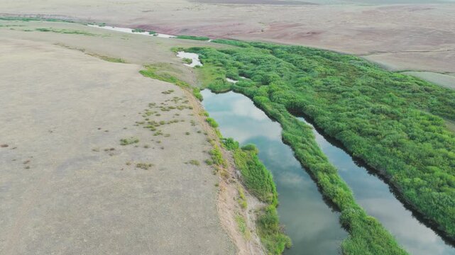 Aerial 4K drone footage rising and flying forward over a calm river surrounded by dense green reeds and bushes on one side and a dry steppe plain on the other. Reflection of sky in water surface, summ