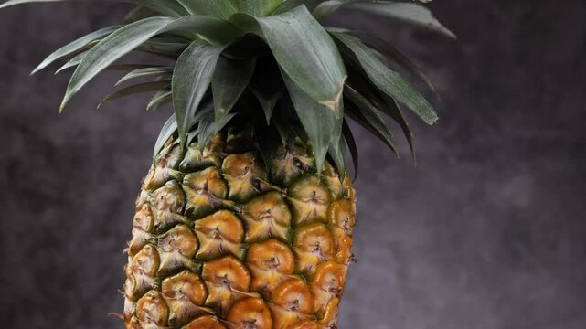 Rotating shot of a whole fresh pineapple with green leaves on a dark studio background.