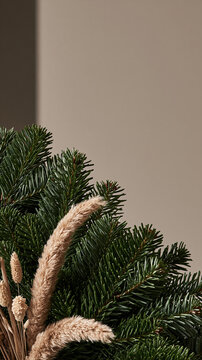 Minimal winter wreath background with evergreen branch and beige grass on beige wall