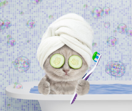 Cute tiny kitten with towel on it head and with slices of cucumber on it eyes holds toothbrush and shows thumbs up gesture