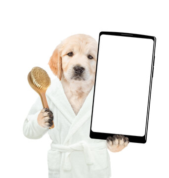 Funny Golden retriever puppy holding shower brush and showing big smartphone with white blank screen in it paw. Empty space for text. Isolated on white background