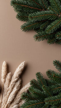 Winter wreath background, evergreen branch, beige background, minimal holiday decor