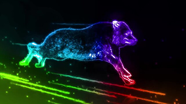 Vibrant rainbow wolf animation featuring colorful spectrum tones and striking psychedelic wildlife visuals