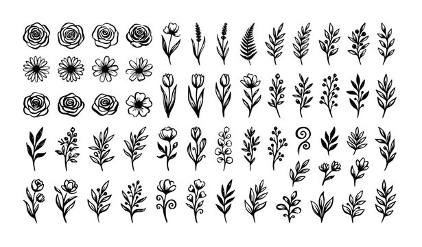 Botanical Brush Ink Floral Doodle Vector Collection