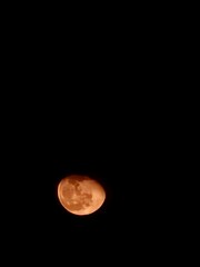 Golden moon © Diding